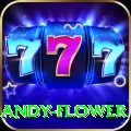 andy flower Elite v2.7.8