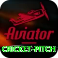 cricket pitch Games (Casino & Earning) Deluxe v1.8.0