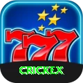 crickex VIP v2.9.1