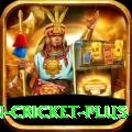 espn cricket Deluxe v5.0.0