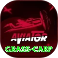 grass carp Apps (Tools & Injectors) Ultimate v2.7.9