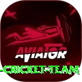 hong kong cricket team Plus Edition v2.5.7