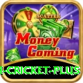 india bangladesh cricket Pakistan Pro v4.4.1