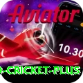 india england cricket Games Deluxe