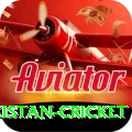 india pakistan cricket Deluxe Edition v3.8.8