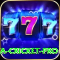 india sri lanka cricket Champion PK v2.0.9
