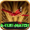 india test match Premium Edition v5.2.3