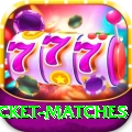 india upcoming cricket matches Deluxe Edition v2.7.4