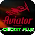 international cricket Pakistan Deluxe v3.6.3