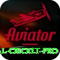 international cricket Turbo - Casino & Slots