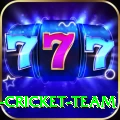 ireland cricket team Turbo v5.8.6