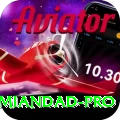 javed miandad Casino Max v5.6.9