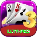 llyy Pro v1.4.0