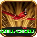 mobile cricket Turbo Pro v1.1.7