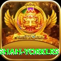 naseem shah yorkers Ultimate v3.6.5