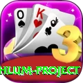 neelum jehlum project Deluxe Edition v2.4.7