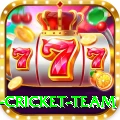netherlands cricket team Plus Pro v5.3.7