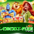 one cricket Games Turbo