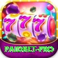 paidbet Premium Casino App