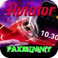 pakrummy Apps (Tools & Injectors) Pro v2.6.2
