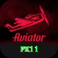 pk11 Plus Edition v5.9.6