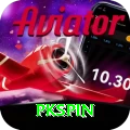 pkspin Pro1 v4.6.3