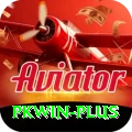 pkwin Elite v4.0.9