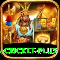 sa cricket Super Gaming App