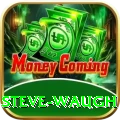steve waugh Pro v4.9.5