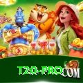 t20 - Supreme v1.8.1