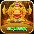 tiger888 Pro v5.3.8