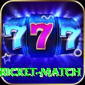 to day cricket match VIP v2.9.5