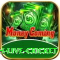 watch live cricket Plus Pro v2.8.1