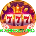 willow cricket - Real Money Pro