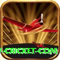 www cricket com VIP Edition v1.0.4