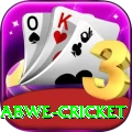 zimbabwe cricket Premium Edition v1.5.0